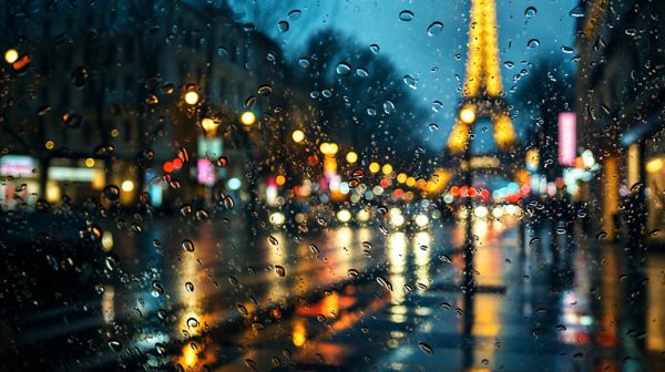 Découvrez les meilleures options de cartons pour déménager à Paris