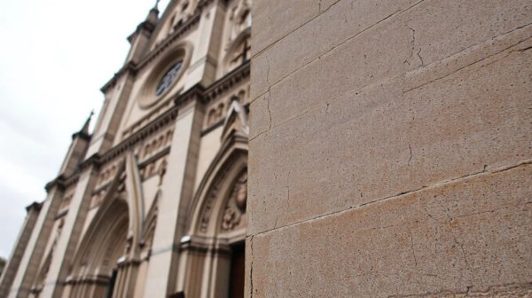 Les meilleures solutions pour éliminer la mérule à Chartres