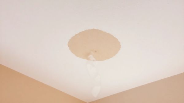 Top 5 solutions pour traiter l'humidité au plafond efficacement